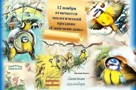 Синицы - озорницы и другие птицы