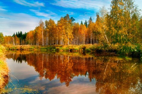 Золотые мгновения осени